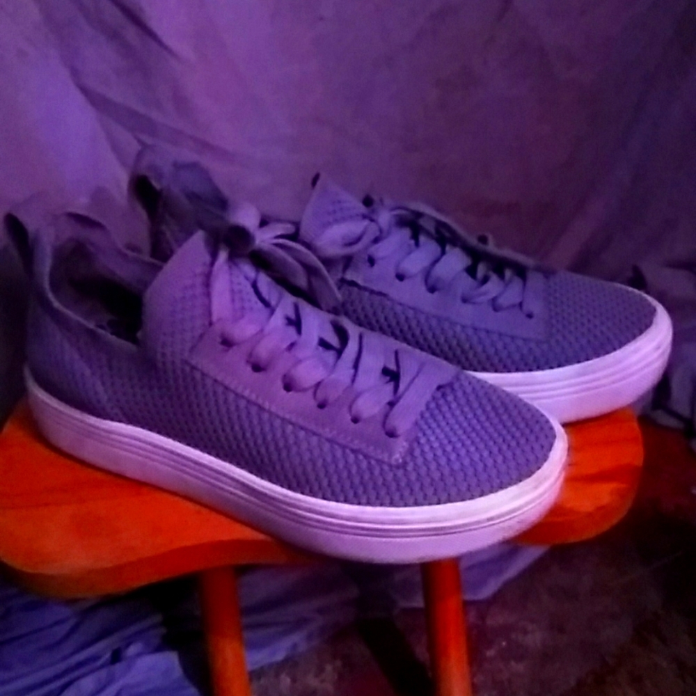 Grey dolace  vita sneekers